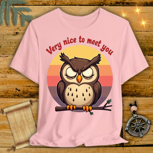 Owl Wornout T-Shirt