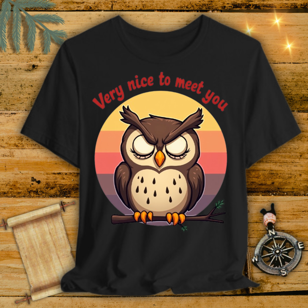 Owl Wornout T-Shirt