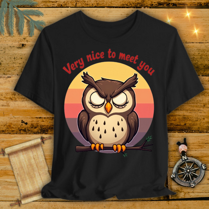 Owl Wornout T-Shirt