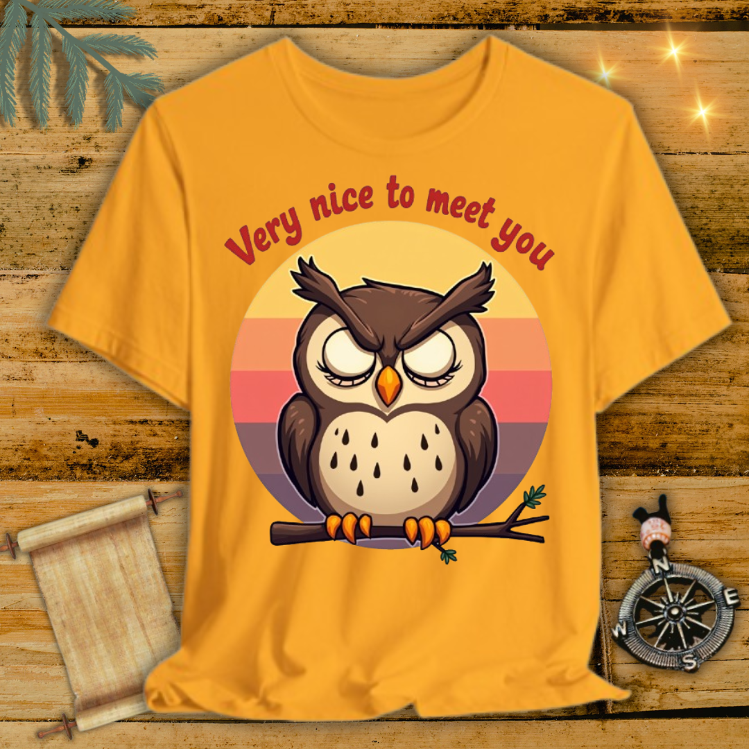 Owl Wornout T-Shirt