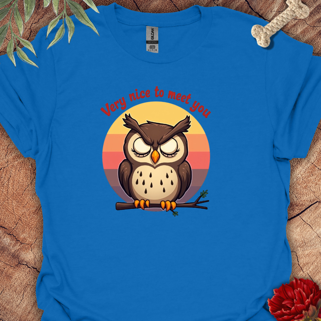 Owl Wornout Tee