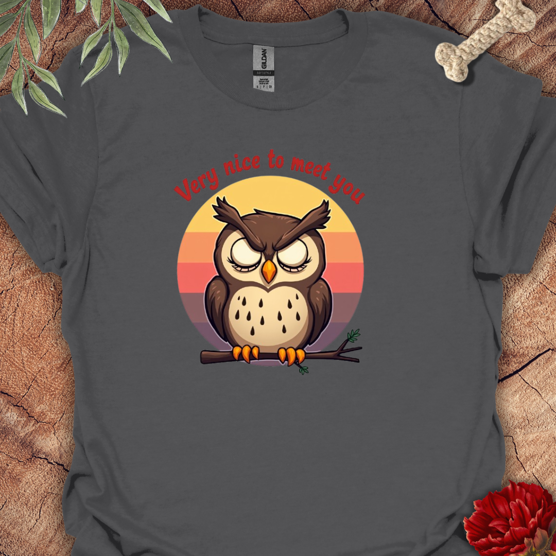 Owl Wornout Tee