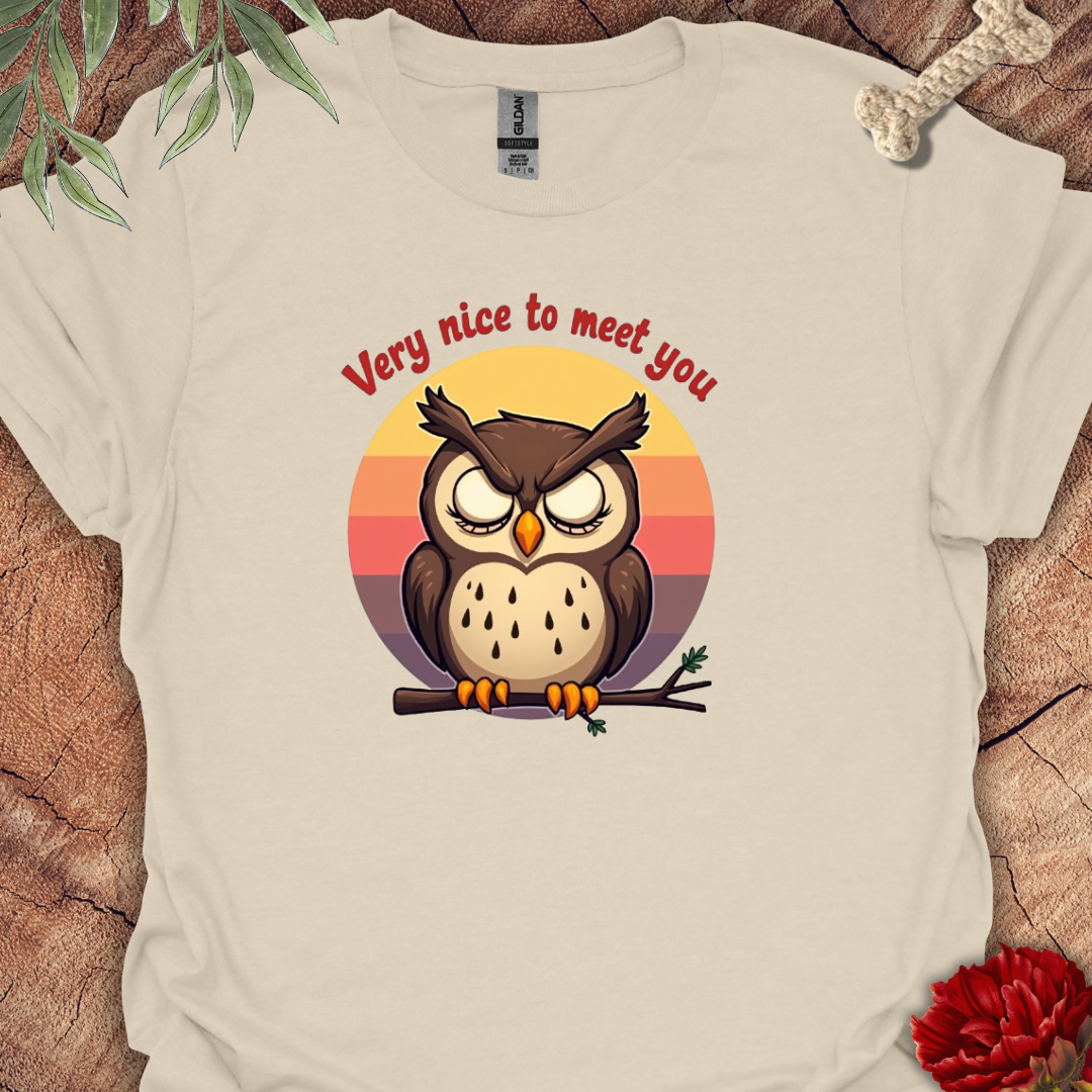 Owl Wornout Tee